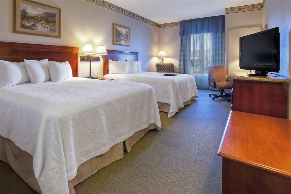 Hampton Inn - Great Falls Ruang foto